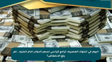 اليوم في البنوك المصرية: تراجع قياسي لسعر الدولار أمام الجنيه.. كم بلغ الانخفاض؟